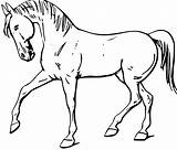 Horse Outline Printable Coloring Clipart Library Kids Pages sketch template