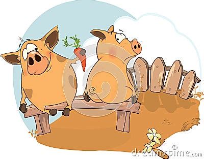 pigs stock images image