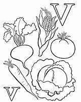 Crops Preschool Fruits Popular Book sketch template