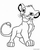 Simba Leone Leoni Garde Animali Stampare Piccolo Résultat Cartone Animato Colocoloers sketch template