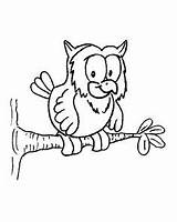 Coloring Jamberry Getdrawings Owl sketch template