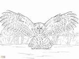 Owl Barn Coloring Getdrawings sketch template