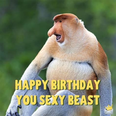 funny happy birthday images a smile for their special day