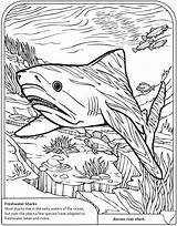Coloring Shark Pages Basking Dover Publications Sheet Sharks Omalovánky Doverpublications Info Adult Goblin Freshwater Scene Welcome Kluci Book Rocks Getdrawings sketch template