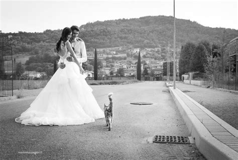 Wedding Photos With Cats Popsugar Love And Sex Photo 14