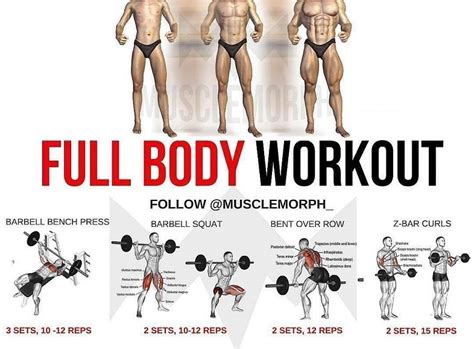 phul  full body workout