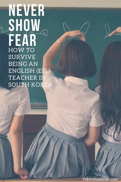 A Day In The Life Of An English Teacher In South Korea — The Anthrotorian