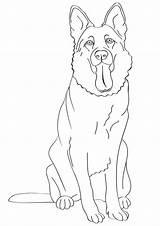 German Coloring Shepherd Pages Dog Puppy Kids Choose Board Colouring sketch template