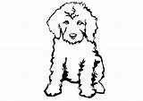 Goldendoodle Cuttable sketch template