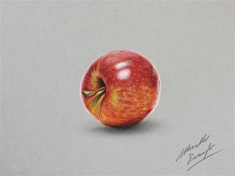realistic colored pencil drawings by marcello barenghi amusing planet