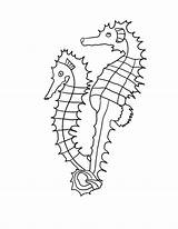 Seahorse Coloring Pages Printable Line Outline Drawing Realistic Kids Color Getdrawings Drawings sketch template