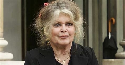 What Is Brigitte Bardot Doing Now In 2021 The Former Sex Symbol Has