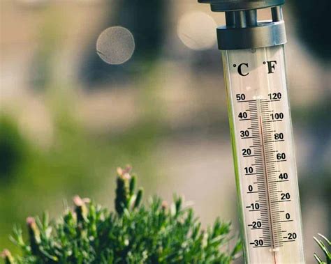 algebraisch tatsaechlich kritisch  outdoor thermometer remission wirksam im wesentlichen