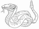 Snake Coloring Coral Getcolorings sketch template