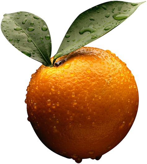 orange photo png image transparent image  size xpx