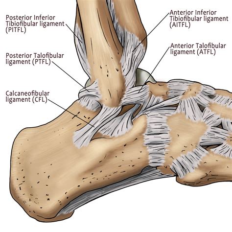 suffering   sprained ankle myankle ankle pain london