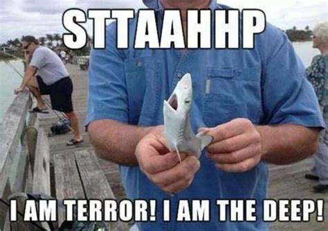 welcome to shark week meme weknowmemes bones funny hilarious laugh