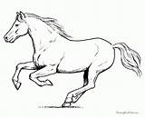Horse Coloring Running Horses Pages Realistic Drawing Printable Print Drawings Color Colts Getdrawings Sheet Kids Gif Popular Coloringhome sketch template