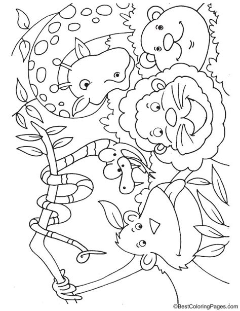 coloring page  jungle animals  jungle animals coloring pages