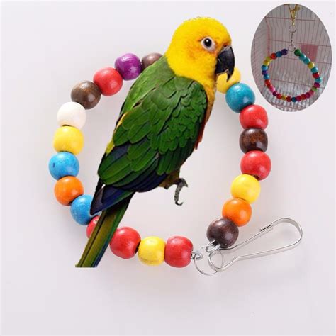 pet parrot macaw house rainbow large swing bodacious wooden parrots swings toys drop shipping