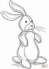 Rabbit Velveteen Coloring Pages Bunny Printable Drawing Easter Knuffle Colouring Supercoloring Rabbits Getdrawings Peter Color Getcolorings Print Colorings Piece Cartoon sketch template