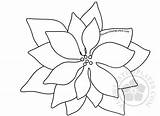 Poinsettia Coloring Large sketch template