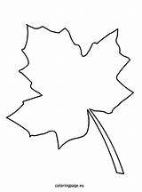 Leaf Template Autumn Drawing Leaves Fall Coloring Maple Write Printable Templates Tree Names Pages Pattern Draw Coloringpage Eu Students Crafts sketch template