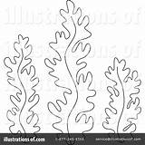 Seaweed Weed Algae Kelp Getcolorings Vorlage Birijus sketch template