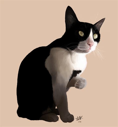 realistic cat drawing digital art xpx rart