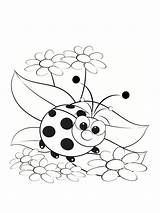 Coccinelle Mariquitas Dessins Maternelle Coccinelles sketch template