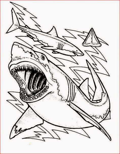 coloring pages sharks printable