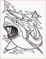 Shark Coloring Pages Sharks Teeth Great Drawing Printable Color Tooth Cartoon Outline Mouth Bulls Sharkboy Kids Chicago Cute Clark Anatomy sketch template