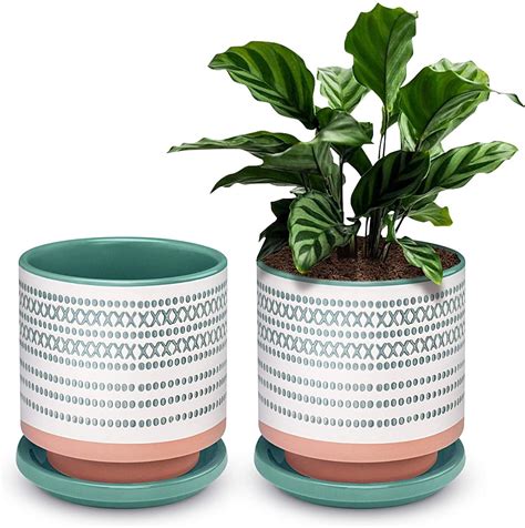 succulent pots small flower pots indoor   ceramic planter plant