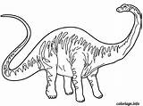 Diplodocus Mewarnai Dinosaure Dinosaurus Alossauro Dinosaurio Hewan Dinosaurios Sketsa Apatosaurus Colorier Dinossauros Imagens Tudodesenhos Imprimé Fois Línea sketch template