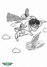 Potter Harry Snitch Coloring Quidditch Pages Catching Printable Drawing Broom Potters Flying Golden Drawings Color Riding Cartoon Colouring Hedwig Print sketch template