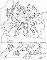 Kikkers Kikker Grenouille Frosch Camouflage Colorare Dieren Ausmalbilder Naturel Mewarnai Katak Kodok Picgifs Animasi Grenouilles Coloringhome Coloriages Animierte Bergerak Milieu sketch template