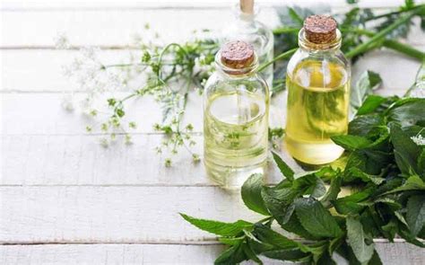 Top 10 Essential Oils For Headaches Natural Oils