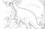Coloring Dinosaur Brachiosaurus Pages Printable Online Supercoloring Color Colouring Drawing Choose Board Categories sketch template
