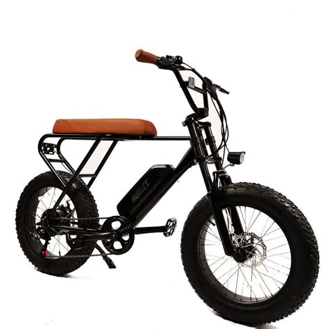 hurley mini swell  bike double riding electric bicycle  power  lithium battery