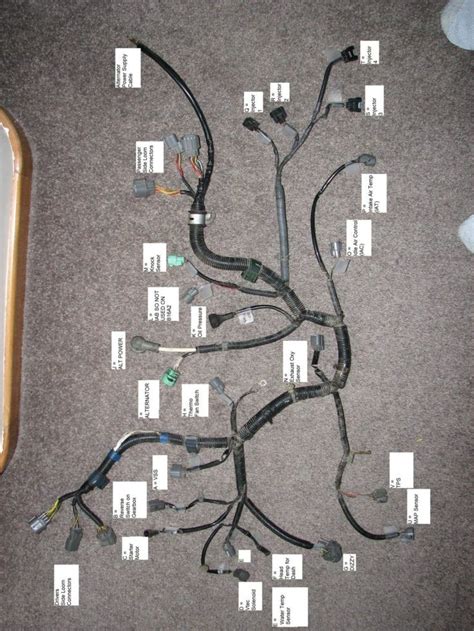 bb wiring harness diagram   goodimgco