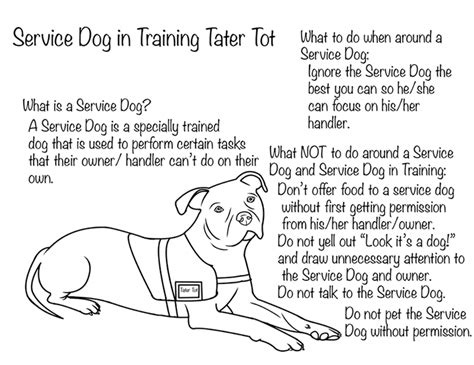 teach kids  service dogs twin cities pbs