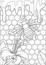 Coloring Bee Honey Pages Adults Hive Color Insects Print Adult Printable Just Justcolor Butterflies Taste Into Para Colorir Escolha Pasta sketch template