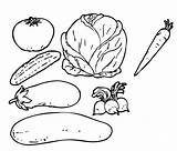 Legumes Vegetais Verduras Atividades Gostar sketch template