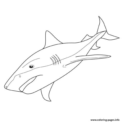 tiger sharks coloring page printable