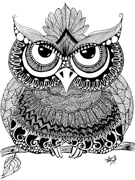 zentangle owl  behance owl coloring pages tangle art owl