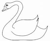 Cigno Swan Coloring Coloradisegni Disegni Baby Coloringbay sketch template