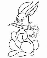 Coloring Bunny Carrot Popular sketch template