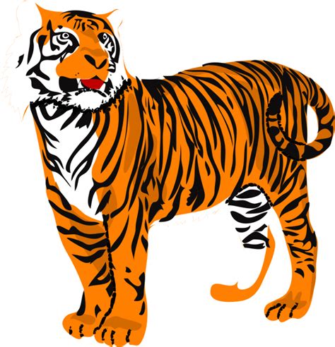 high quality tiger clipart vector transparent png images art