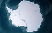 Afbeeldingsresultaten voor "coelographis Antarctica". Grootte: 167 x 106. Bron: explorersweb.com