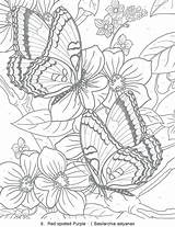 Coloring Pages Size Adults Printable Color Print Getcolorings sketch template